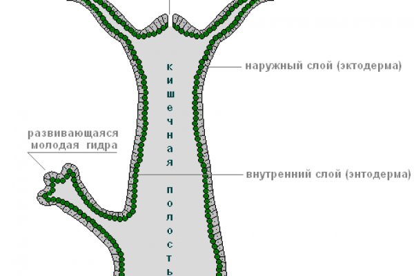 Ссылка на кракен в тор браузере kr2web in