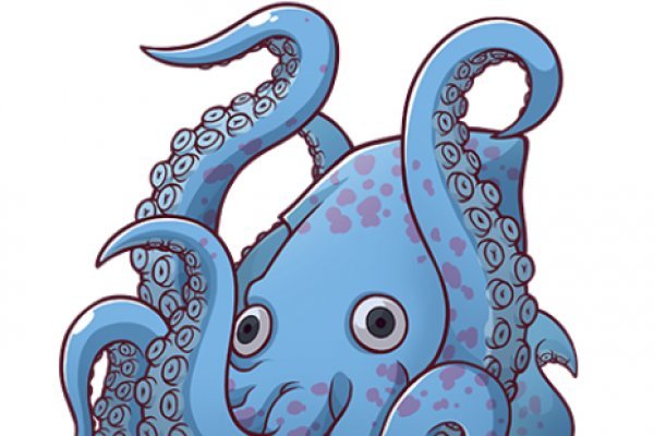 Kraken 24 at