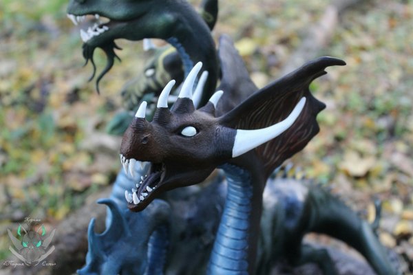 Kraken новая ссылка