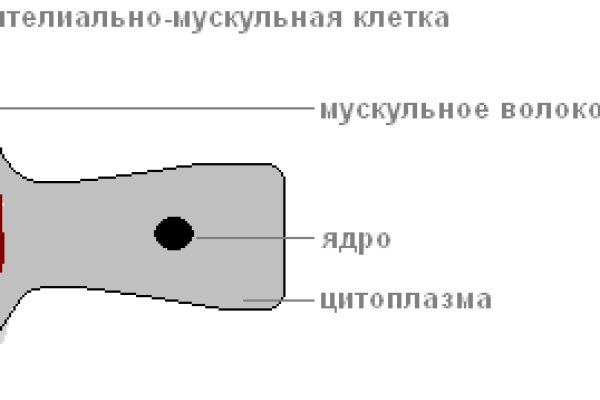 Кракен гидра