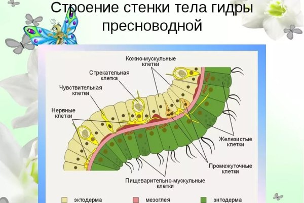 Ссылка на кракен лукойл