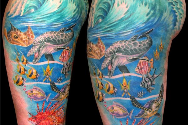 Рабочий сайт kraken