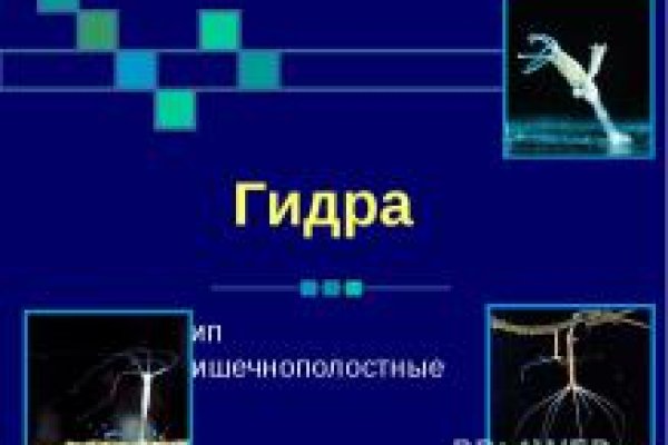 Как зайти на маркетплейс кракен